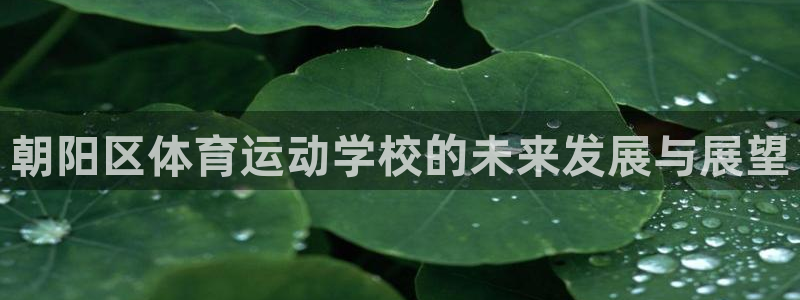 yy易游官網(wǎng)下載招商電話(huà)是多少?。撼?yáng)區(qū)體育運(yùn)動(dòng)學(xué)校的未來(lái)發(fā)