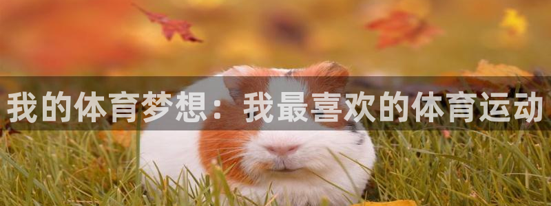 德國yy易游官方正版app集團：我的體育夢想：我最喜